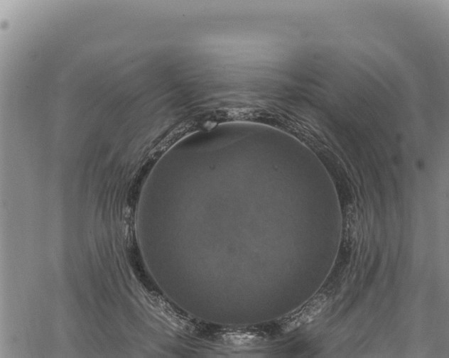 X0000064770650200602131317