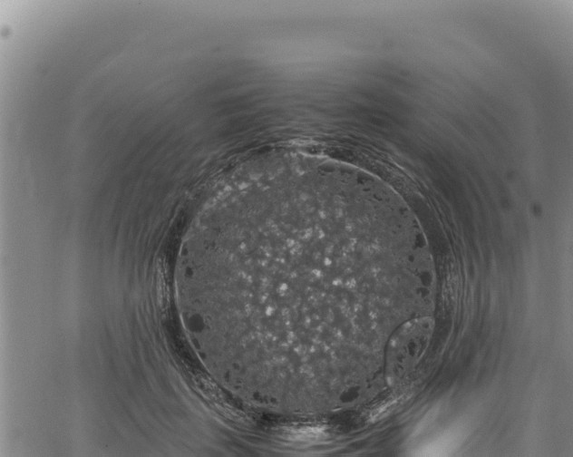 X0000064770651200602131318