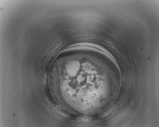 X0000064770652200602131318