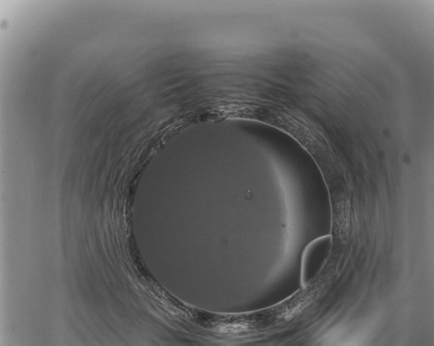 X0000064770653200602131318