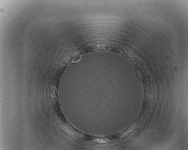 X0000064770654200602131318