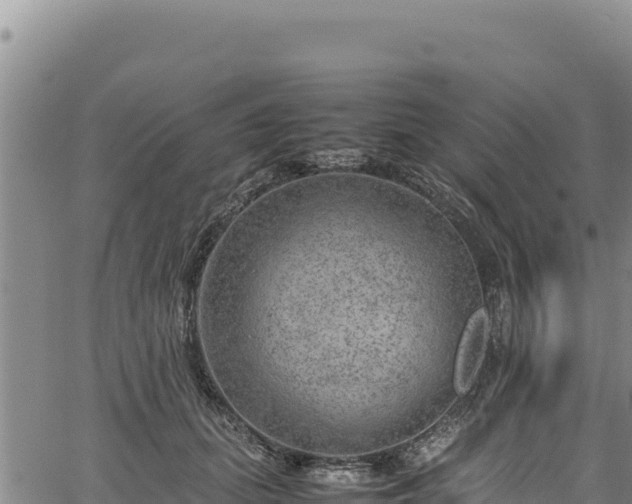 X0000064770655200602131318