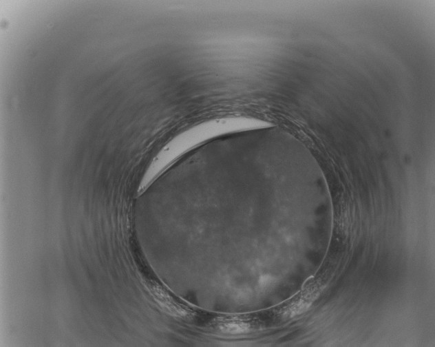 X0000064770658200602131318