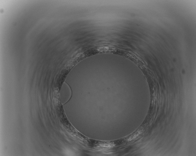 X0000064770659200602131318