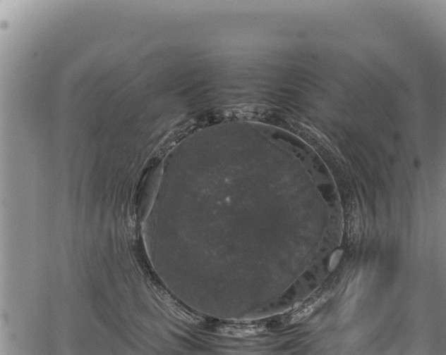 X0000064770661200602131318