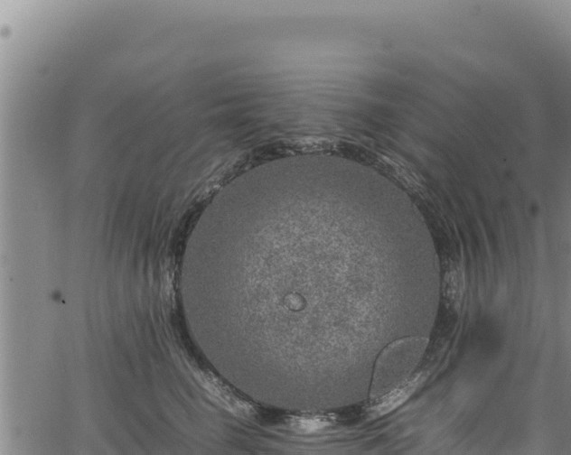 X0000064770662200602131318