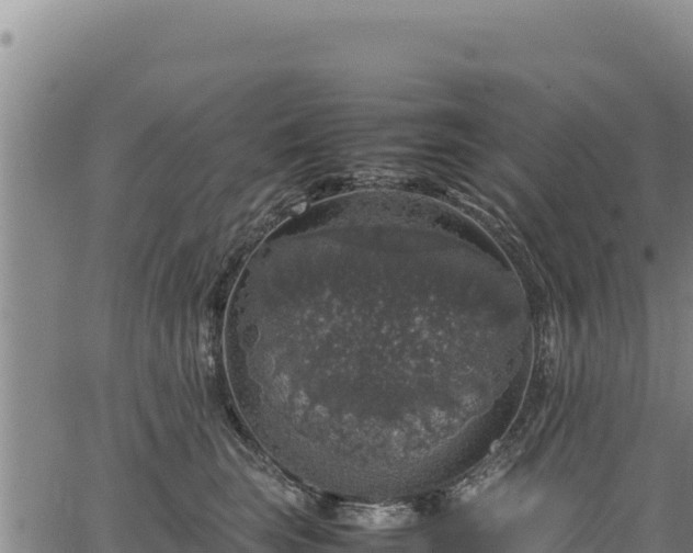 X0000064770663200602131318