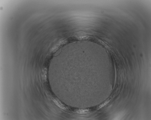 X0000064770664200602131318