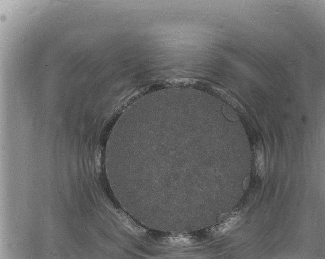 X0000064770668200602131318