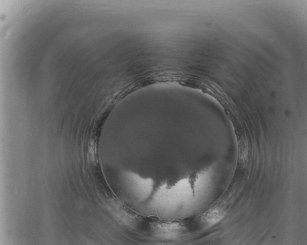 X0000064770669200602131318