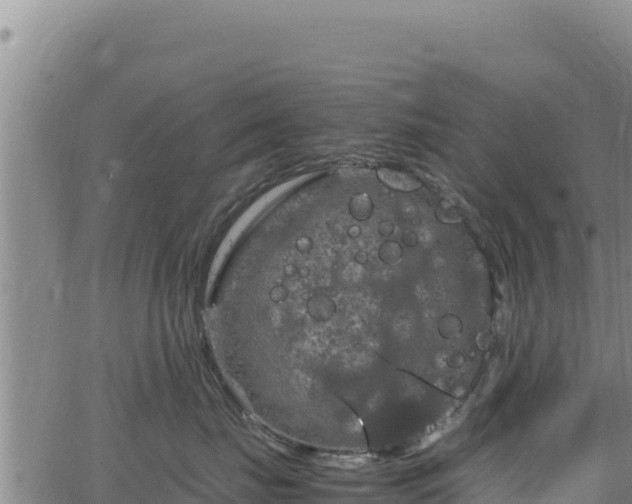 X0000064770671200602131318