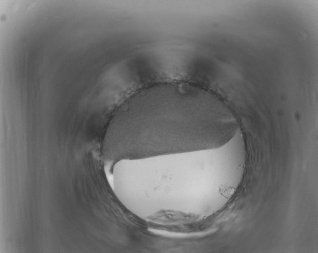 X0000064770672200602131318