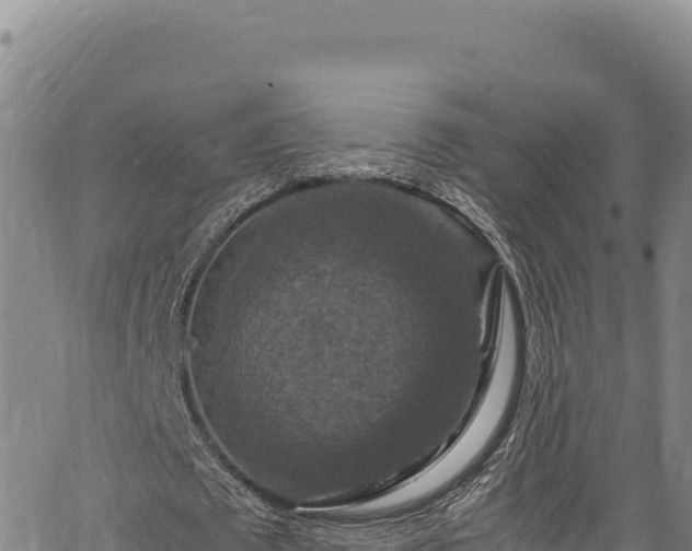 X0000064770673200602131317