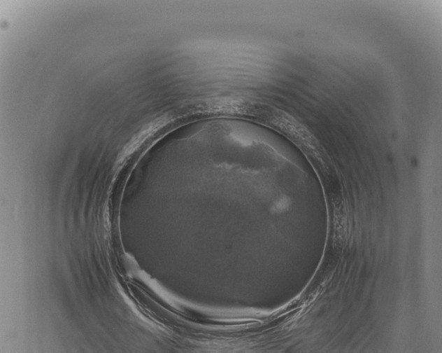 X0000064770674200602131317