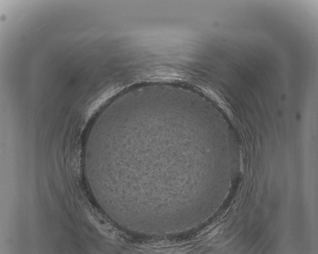 X0000064770675200602131317