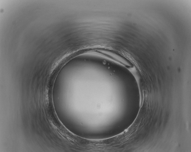 X0000064770676200602131317