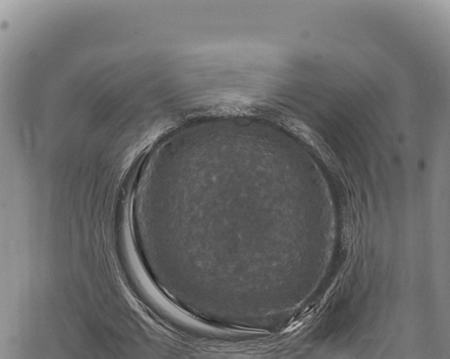 X0000064770677200602131317