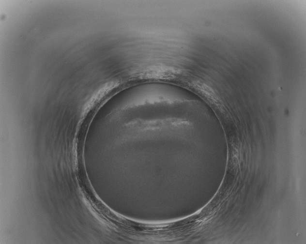 X0000064770678200602131317