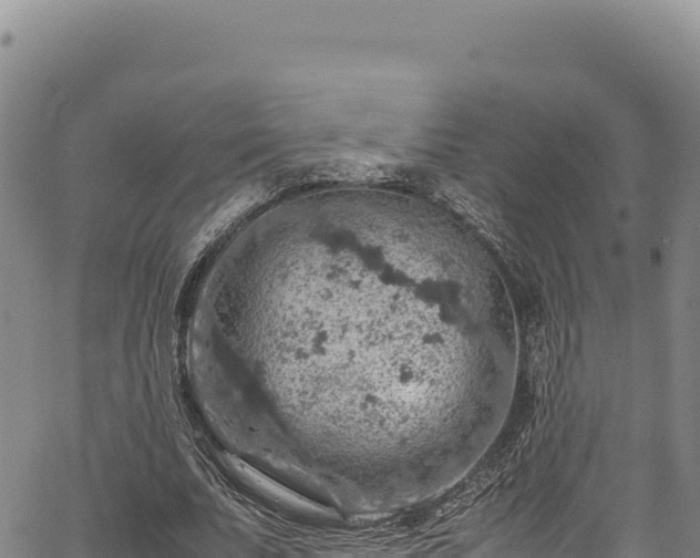 X0000064770679200602131317