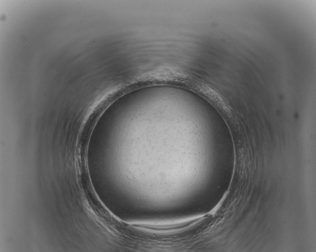 X0000064770680200602131317