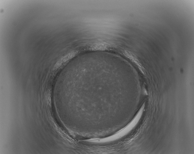 X0000064770681200602131317