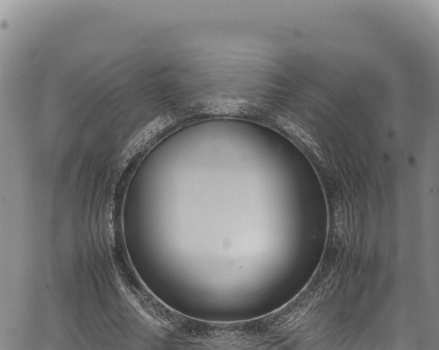 X0000064770682200602131317