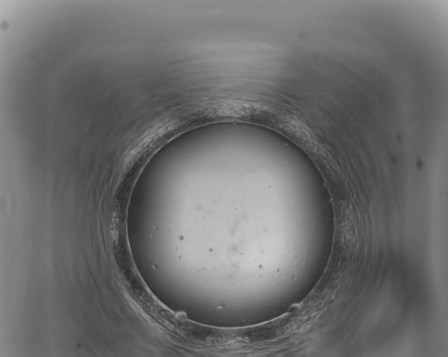 X0000064770683200602131317