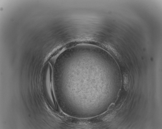 X0000064770684200602131317