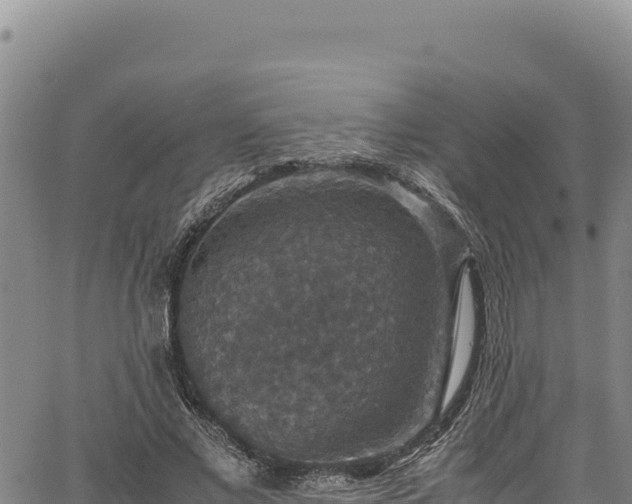 X0000064770685200602131317