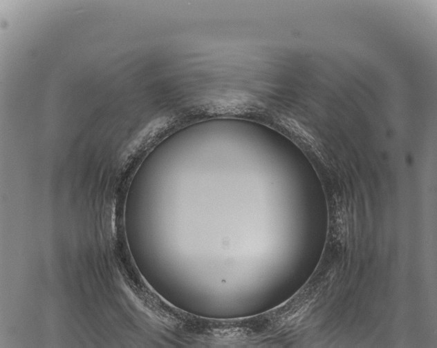 X0000064770686200602131317