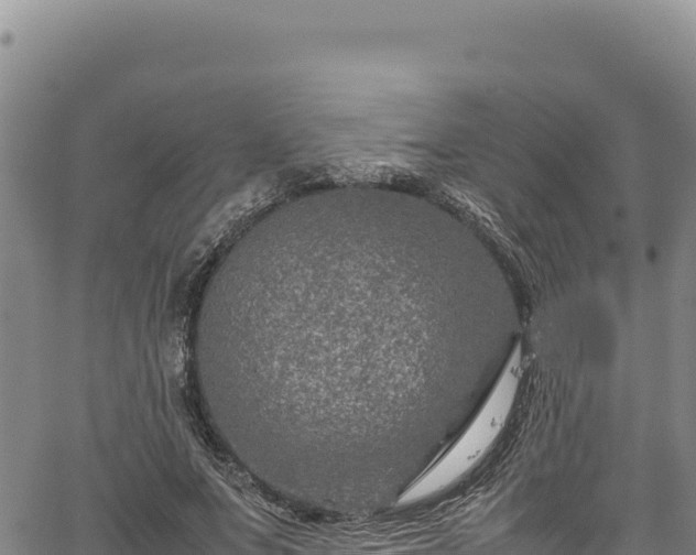 X0000064770687200602131317