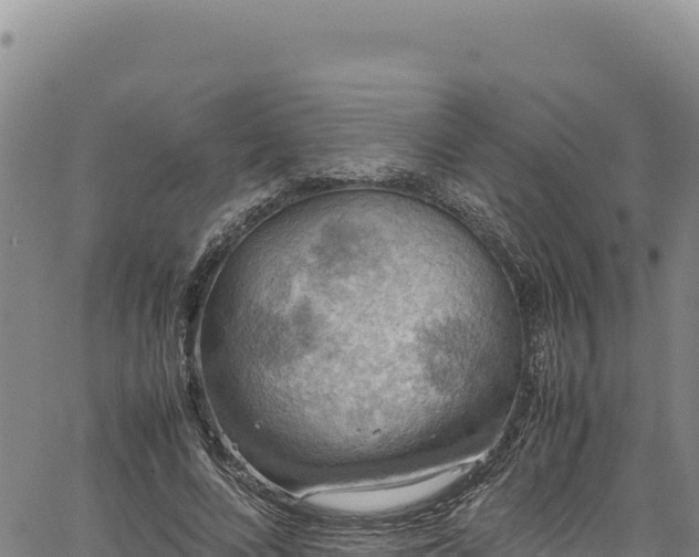 X0000064770688200602131317