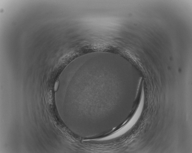 X0000064770689200602131317