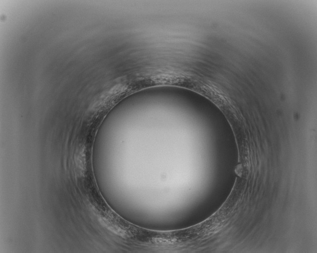 X0000064770690200602131317