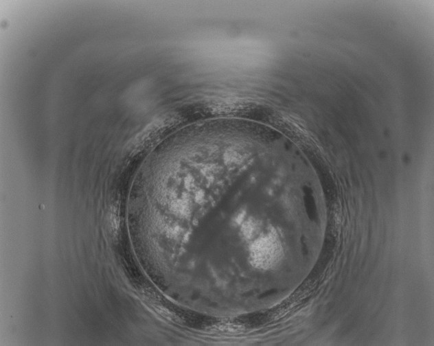 X0000064770691200602131317