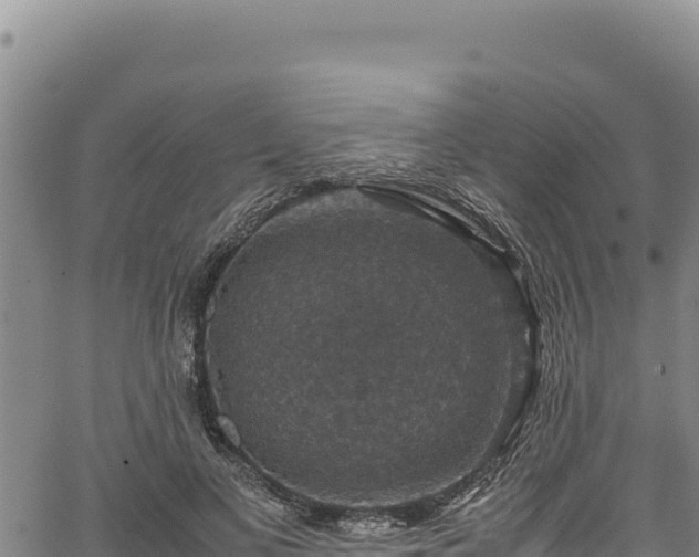 X0000064770693200602131317