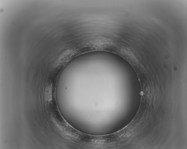 X0000064770694200602131317