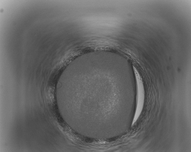 X0000064770695200602131317