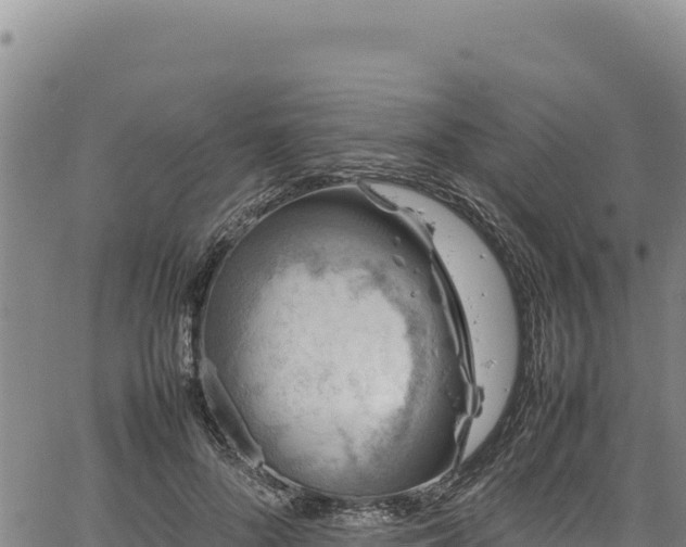 X0000064770696200602131317