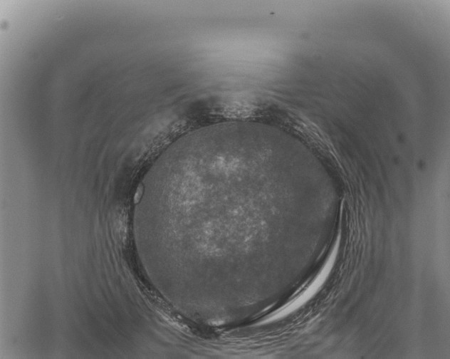 X0000064770697200602131317