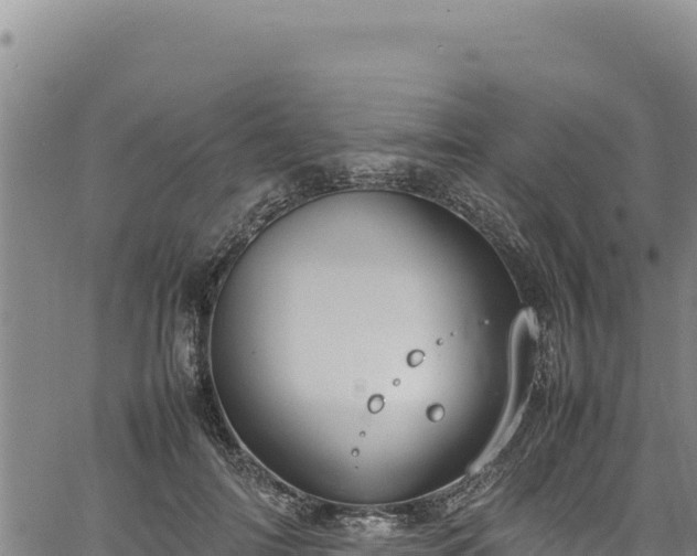 X0000064770698200602131317