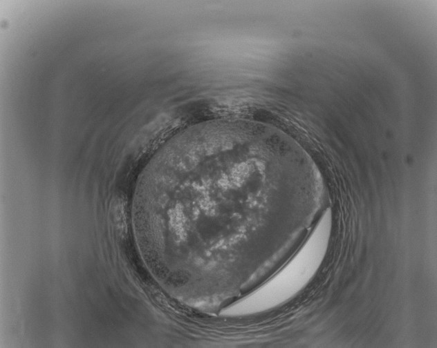 X0000064770699200602131317