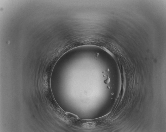 X0000064770700200602131317