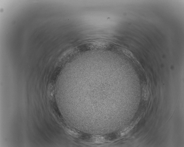 X0000064770701200602131317