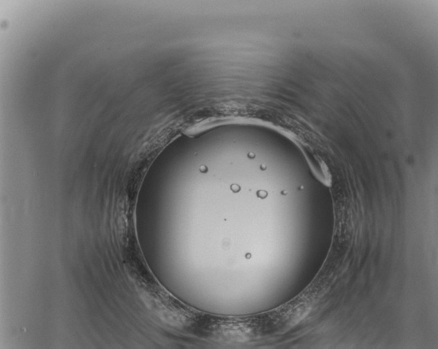 X0000064770702200602131317