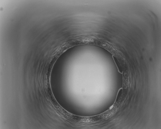 X0000064770704200602131317