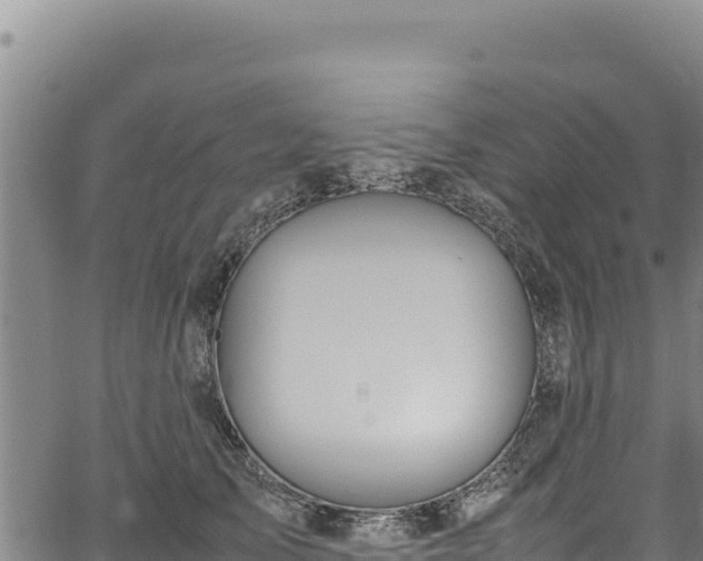 X0000064770705200602131317