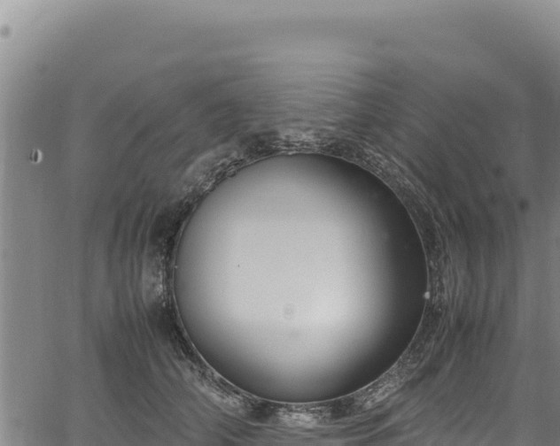 X0000064770706200602131317