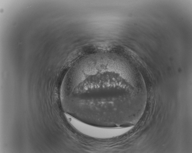 X0000064770707200602131317