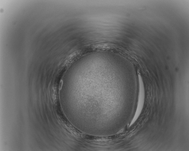 X0000064770708200602131317